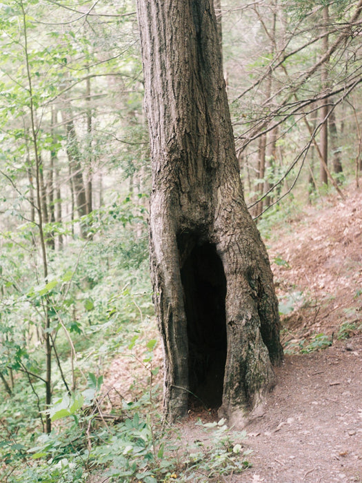 Venture In