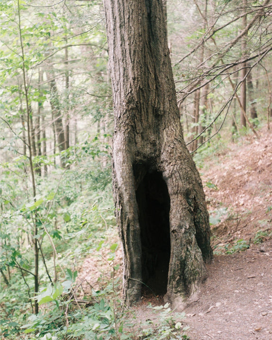 Venture In
