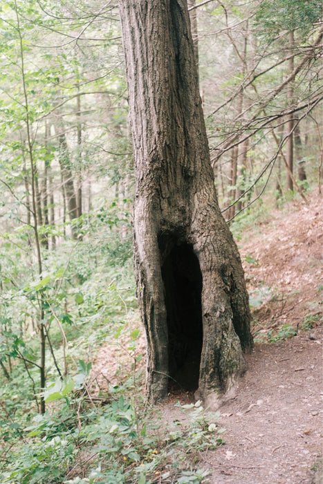 Venture In