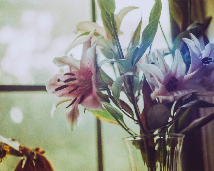 Lilies of Love