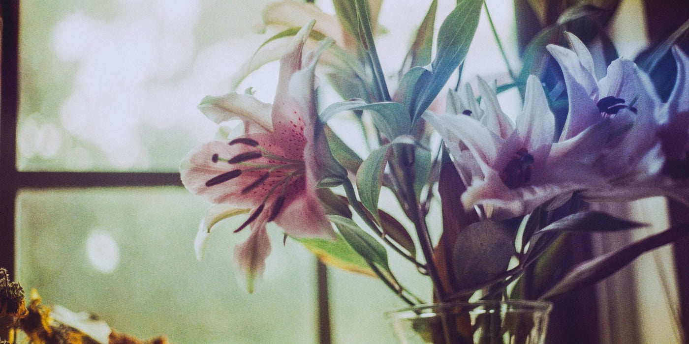 Lilies of Love