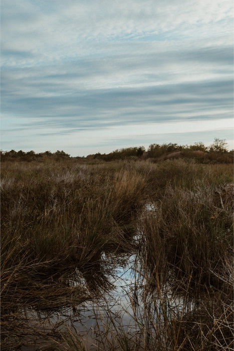 Baytown Marsh