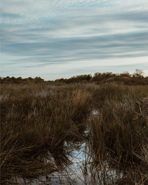 Baytown Marsh