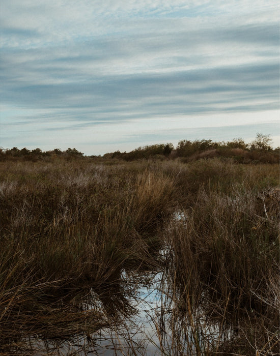 Baytown Marsh